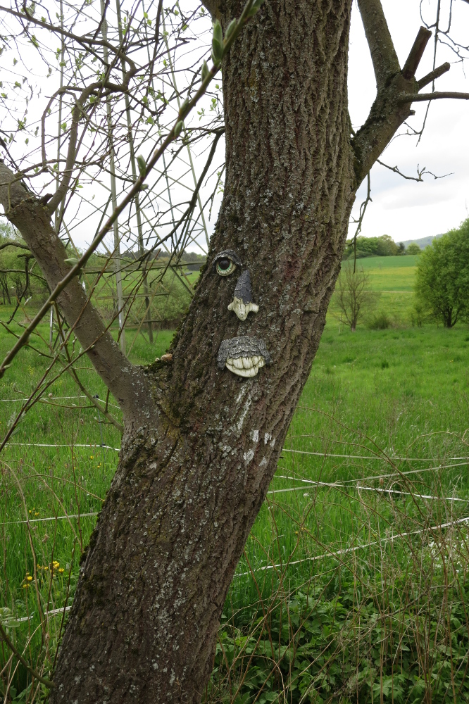 Naturpark Lahn-Dill-Bergland – Lahnhöhen-Extratour