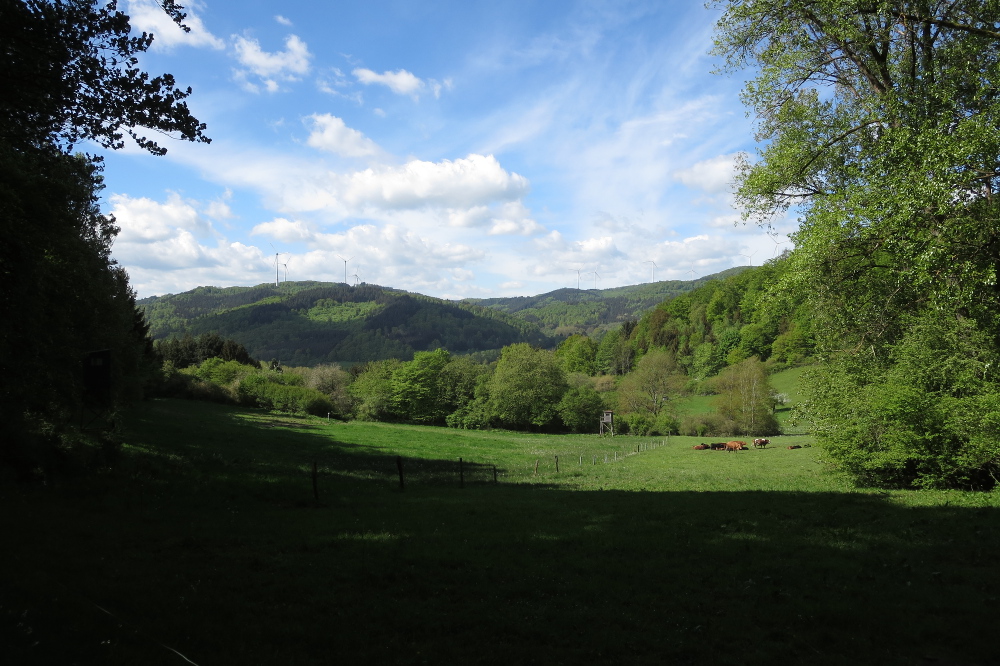 Naturpark Lahn-Dill-Bergland – Lahnhöhen-Extratour