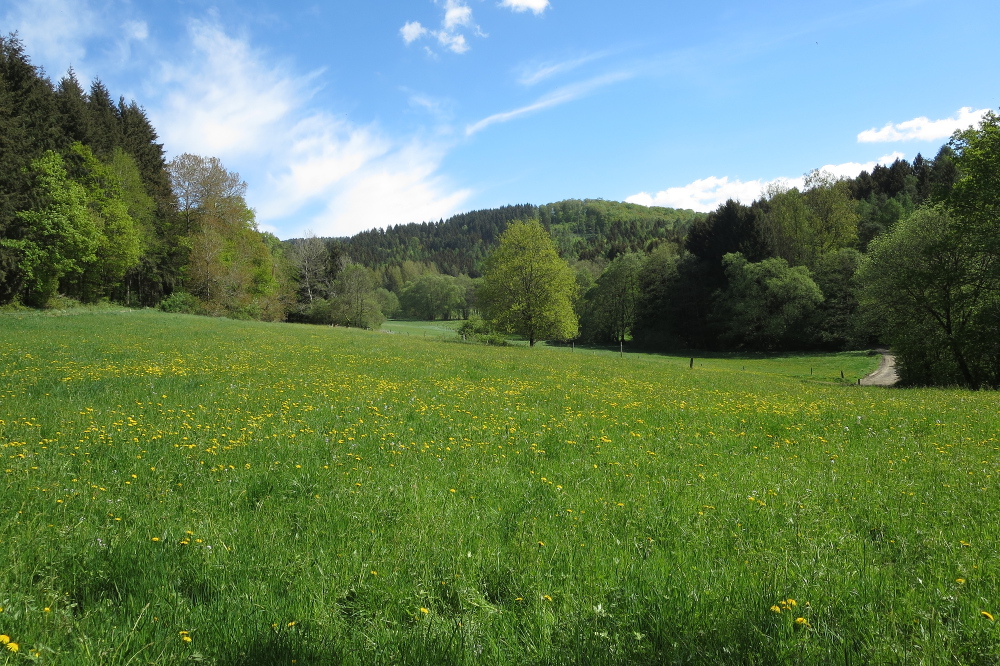 Naturpark Lahn-Dill-Bergland – Lahnhöhen-Extratour