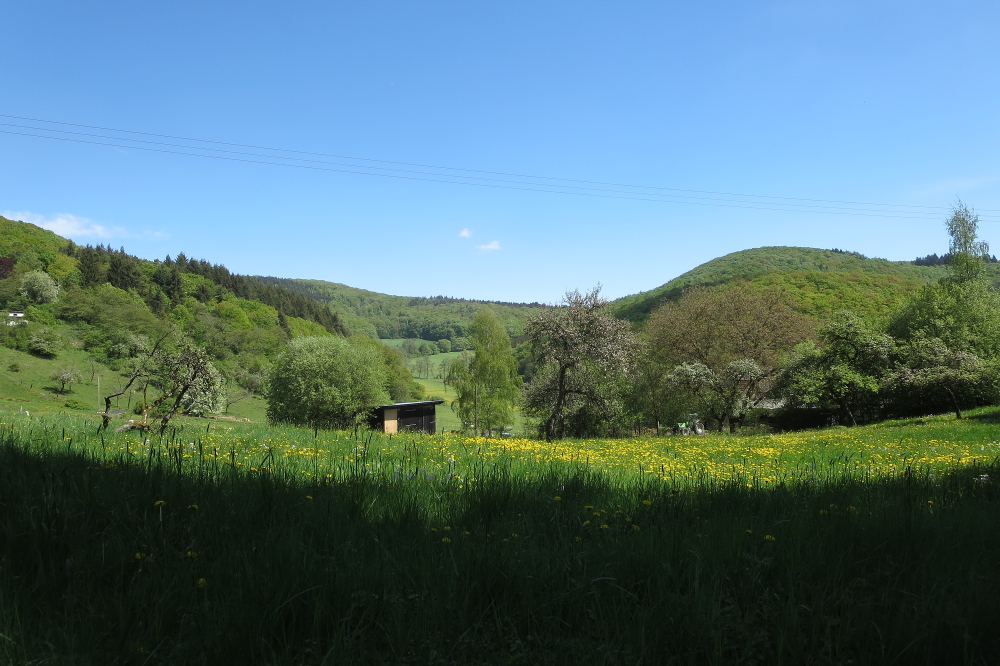 Naturpark Lahn-Dill-Bergland – Lahnhöhen-Extratour