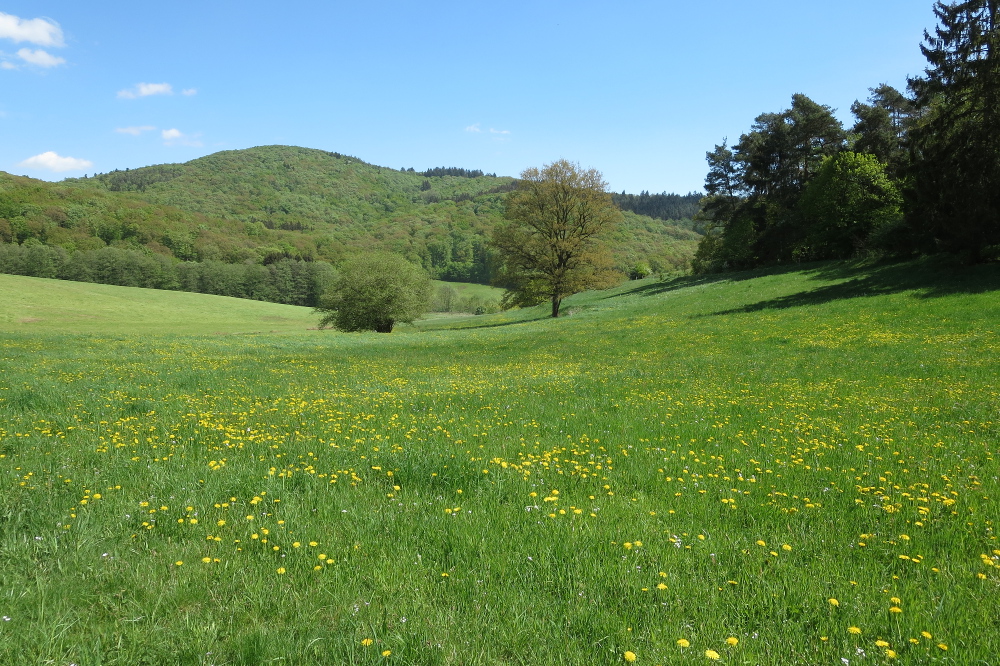 Naturpark Lahn-Dill-Bergland – Lahnhöhen-Extratour