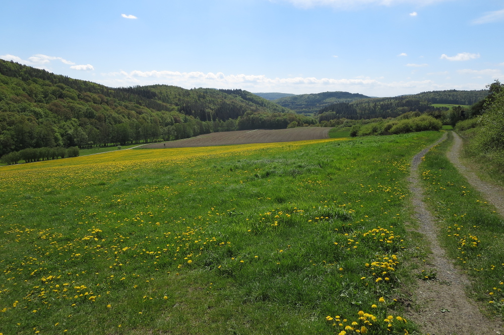 Naturpark Lahn-Dill-Bergland – Lahnhöhen-Extratour