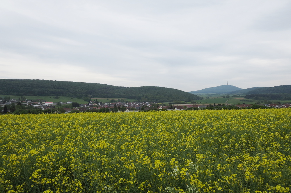 Naturpark Lahn-Dill-Bergland – Schauinsland