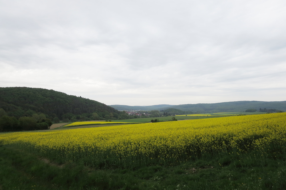 Naturpark Lahn-Dill-Bergland – Schauinsland