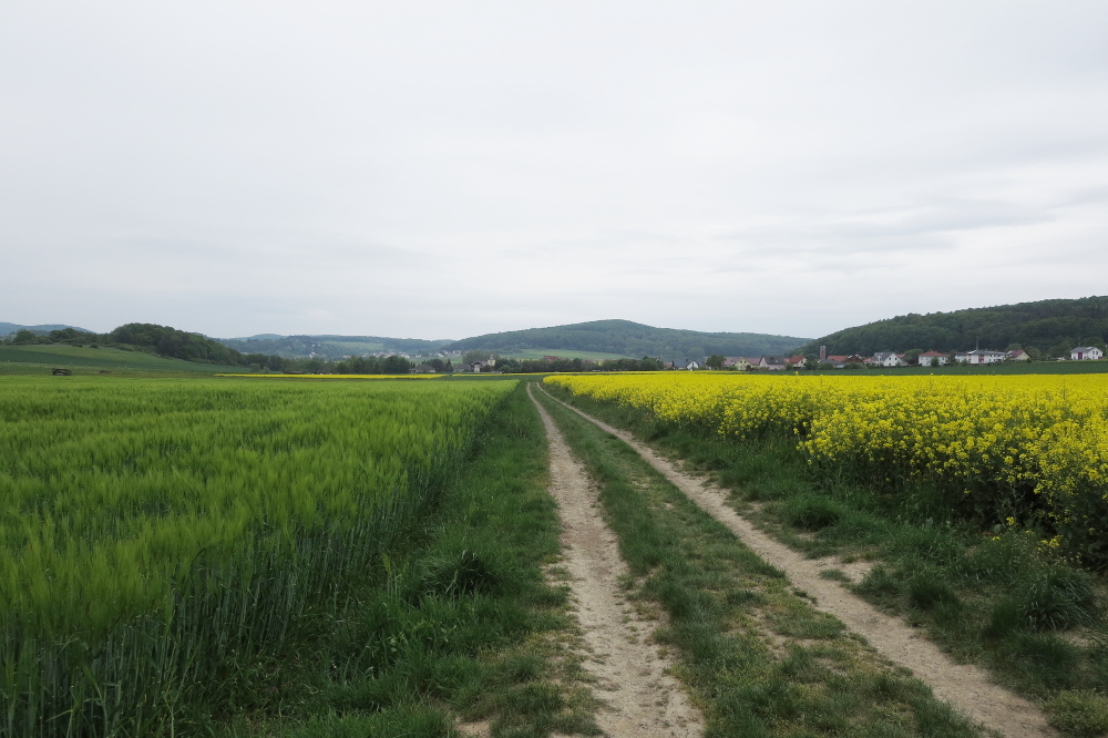 Naturpark Lahn-Dill-Bergland – Schauinsland