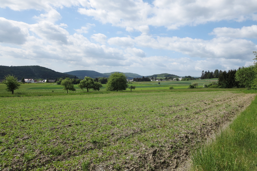 Naturpark Lahn-Dill-Bergland – Gladenbacher Berglandring