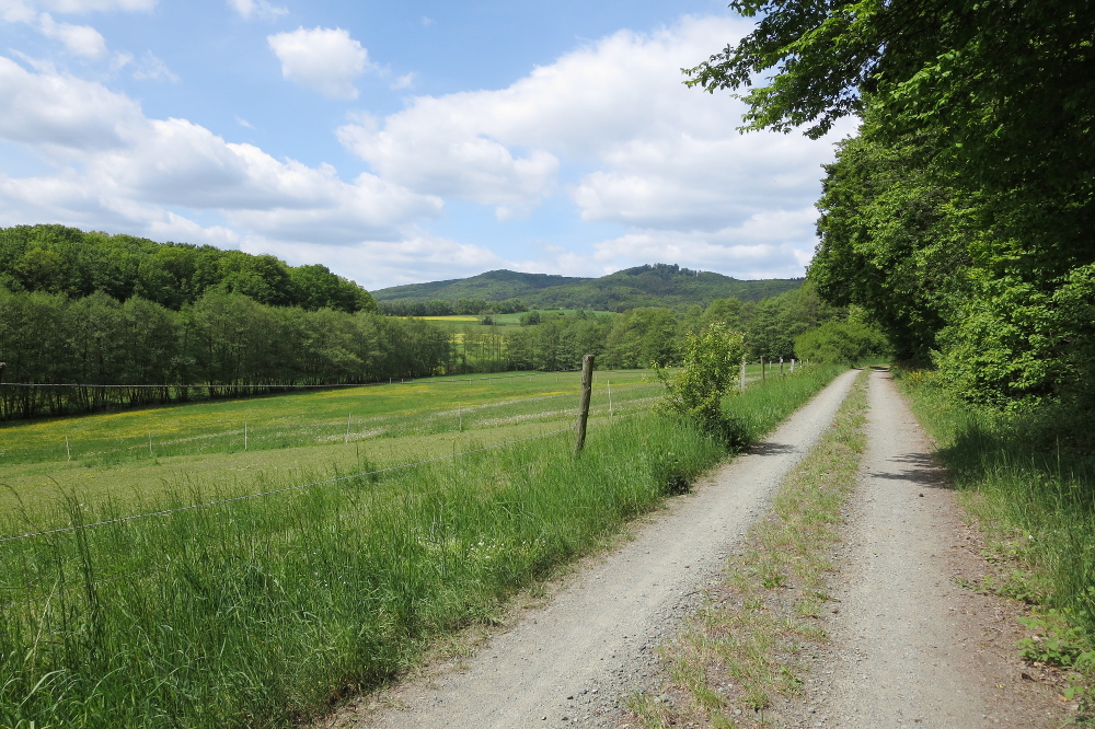 Naturpark Lahn-Dill-Bergland – Gladenbacher Berglandring