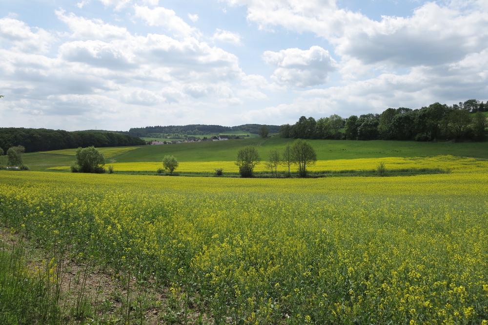 Naturpark Lahn-Dill-Bergland – Gladenbacher Berglandring