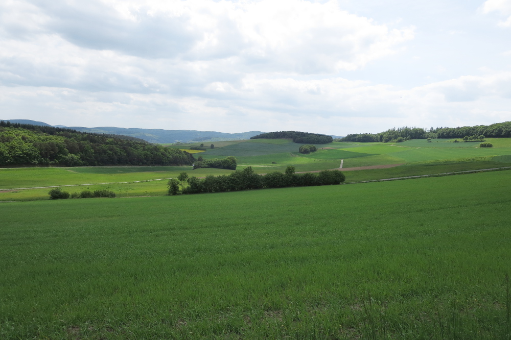 Naturpark Lahn-Dill-Bergland – Gladenbacher Berglandring