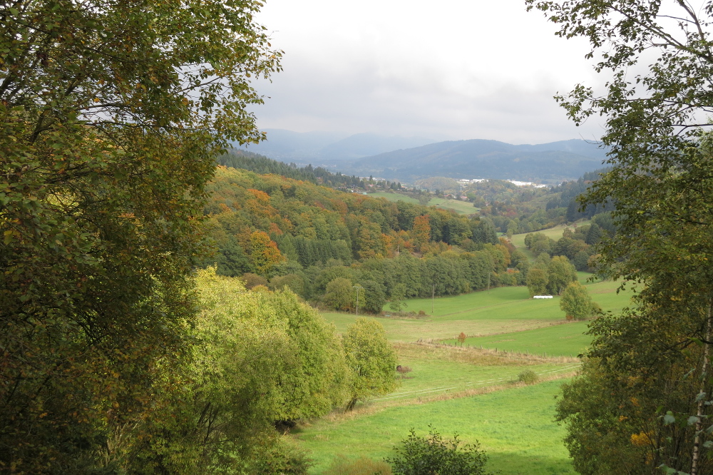 Naturpark Lahn-Dill-Bergland – Boxbachpfad