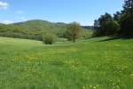 Naturpark Lahn-Dill-Bergland – Lahnhöhen-Extratour