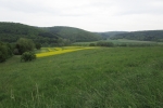 Naturpark Lahn-Dill-Bergland – Schauinsland
