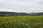 Naturpark Lahn-Dill-Bergland – Schauinsland