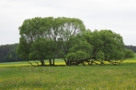 Naturpark Lahn-Dill-Bergland – Schauinsland
