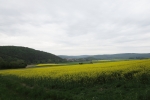 Naturpark Lahn-Dill-Bergland – Schauinsland
