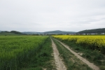 Naturpark Lahn-Dill-Bergland – Schauinsland