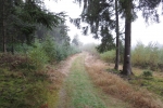 Naturpark Lahn-Dill-Bergland – Boxbachpfad