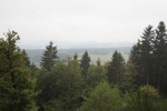 Naturpark Lahn-Dill-Bergland – Boxbachpfad