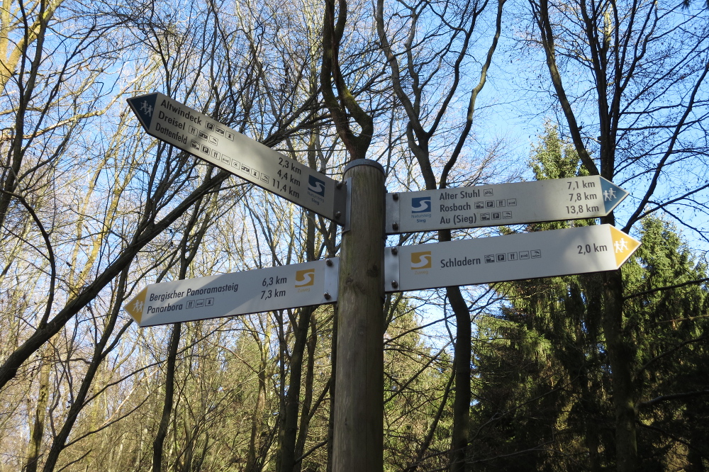 Natursteig Sieg #8 - Rechts weiter bis Au
