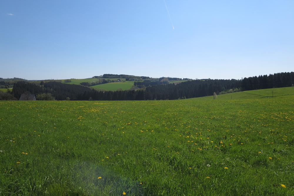 Natursteig Sieg #11