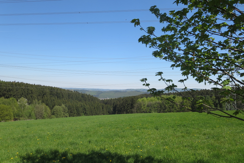 Natursteig Sieg #12