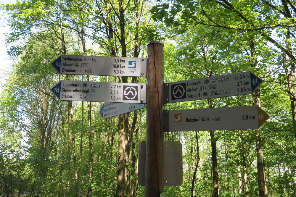 Natursteig Sieg #12