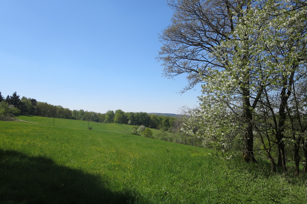 Natursteig Sieg #12