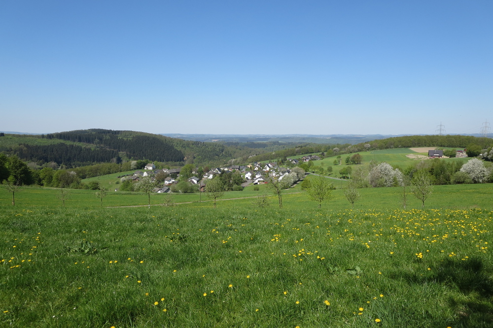 Natursteig Sieg #12 - Dauersberg