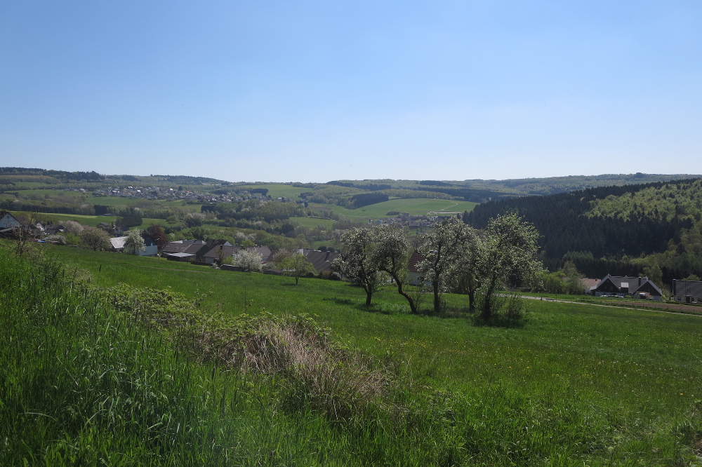 Natursteig Sieg #12