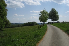 Natursteig Sieg