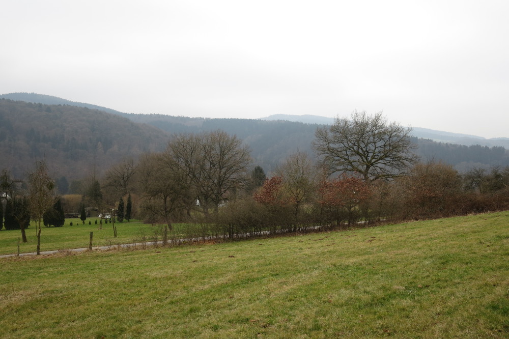 Natursteig Sieg #6 - Zwischen Herchen und Stromberg