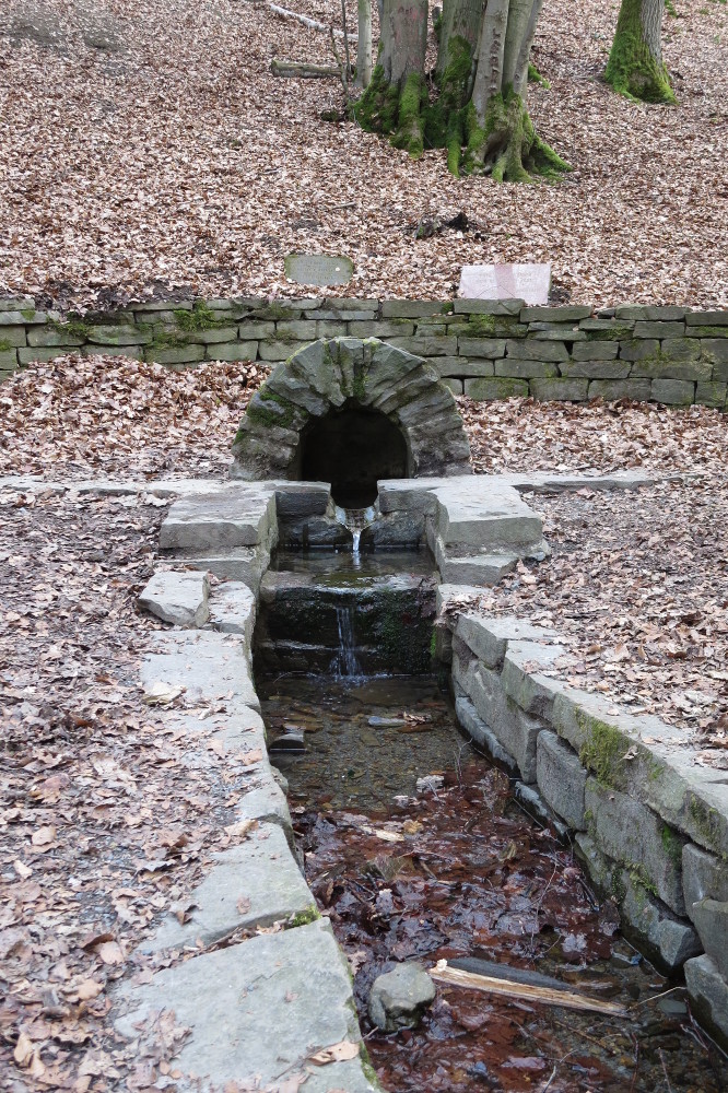 Natursteig Sieg #6 - Heilbrunnen Herchen