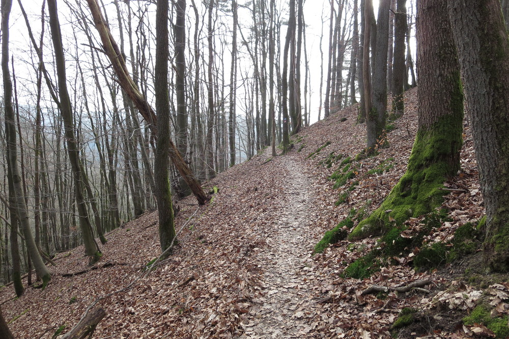 Natursteig Sieg #6 - Heilbrunnenpfad
