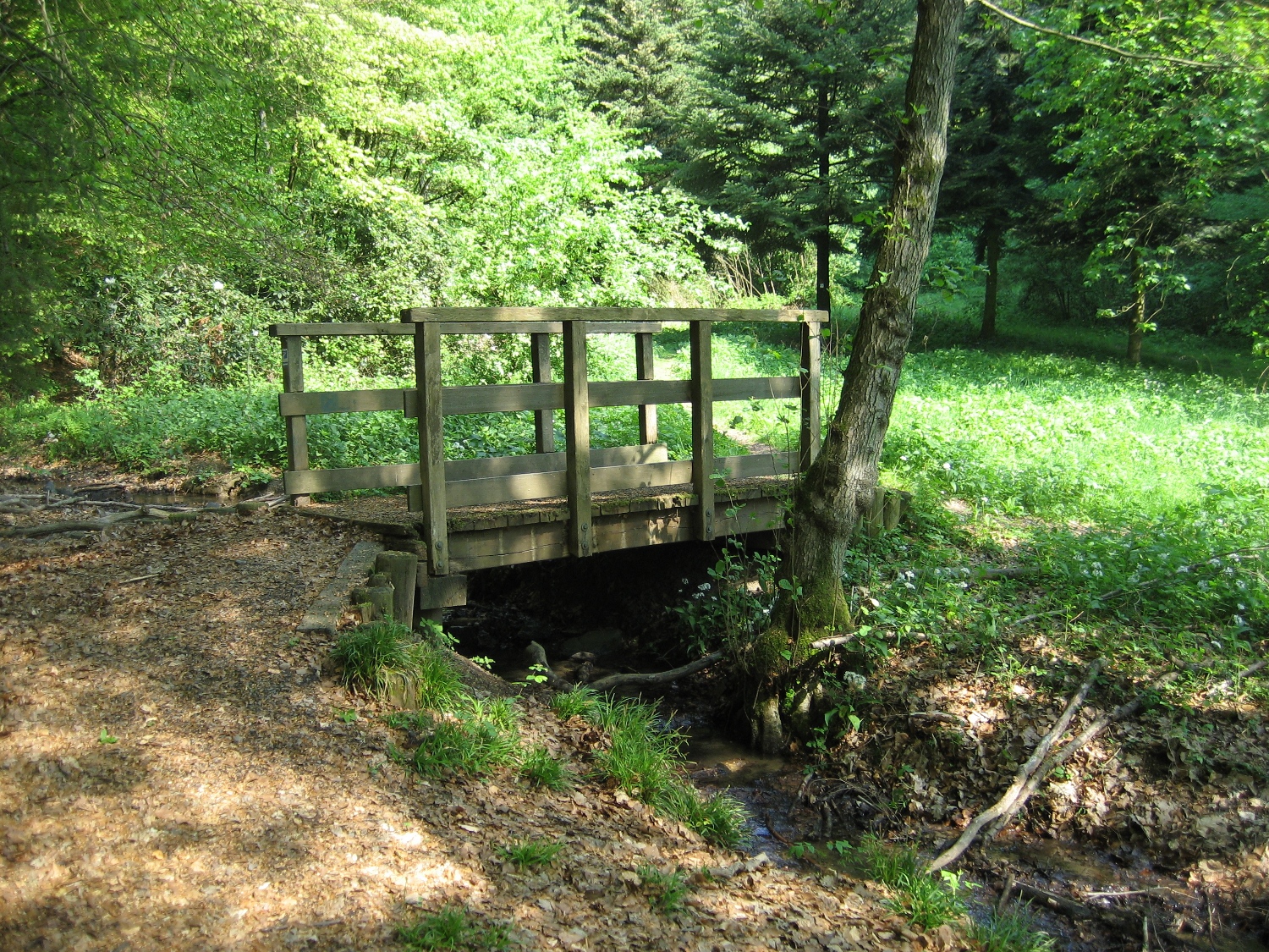 Natursteig Sieg #2 - Lauschiges Bachtal