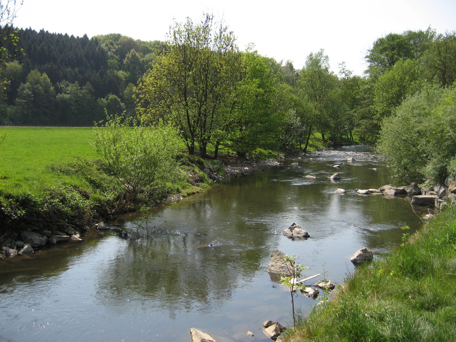 Natursteig Sieg #2 - An der Bröl