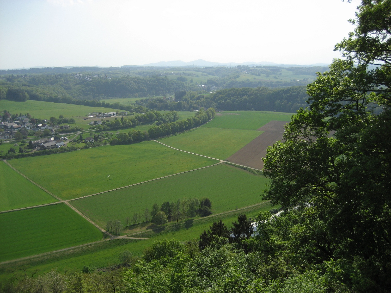 Natursteig Sieg #2 - unterwegs