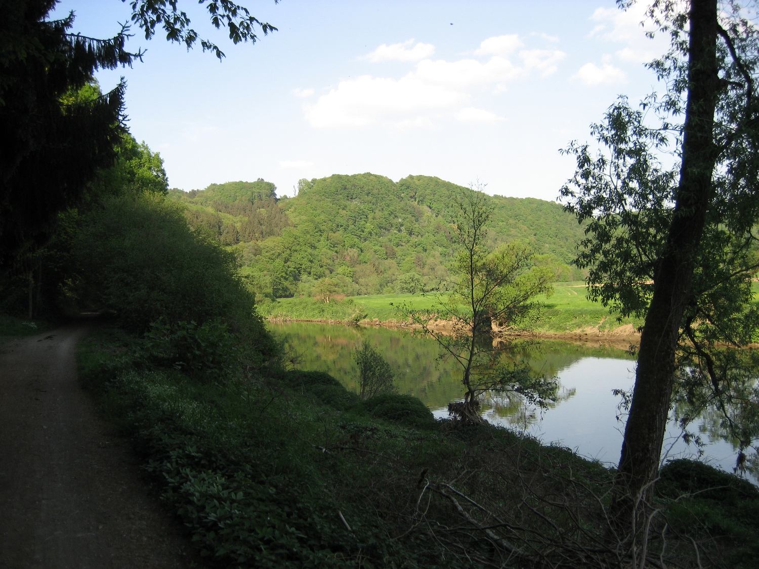Natursteig Sieg #2 - Blick zurück auf den Stachelberg