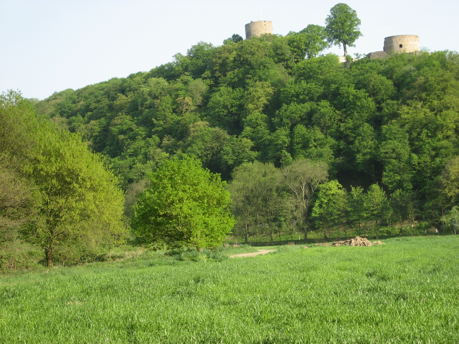 Natursteig Sieg #2 - Burgruine Blankenberg