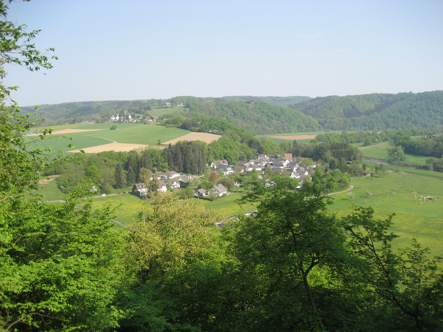 Natursteig Sieg #3 - Auel