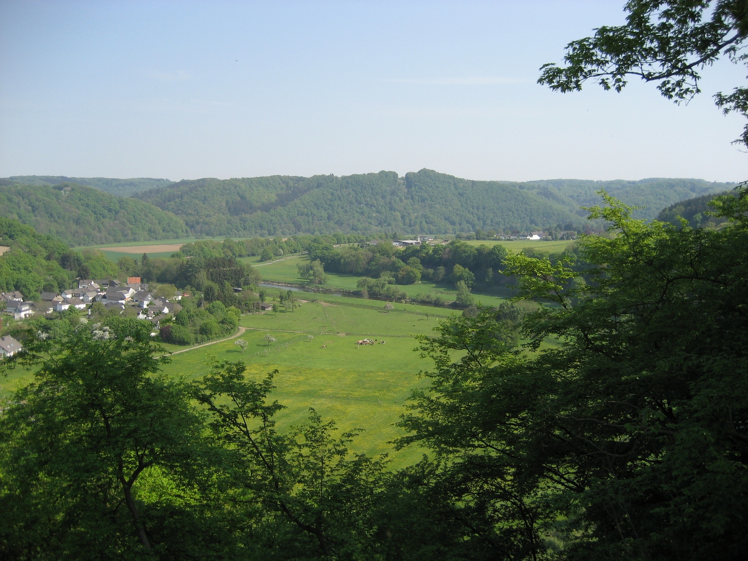 Natursteig Sieg #3 - Stachelberg