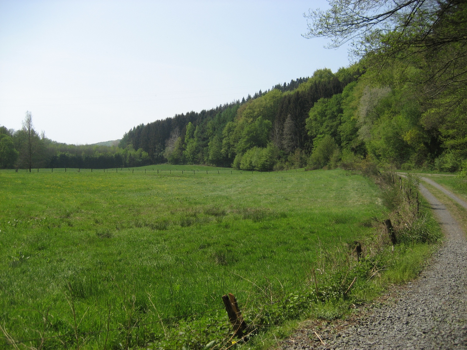 Natursteig Sieg #3 - Im Krabachtal
