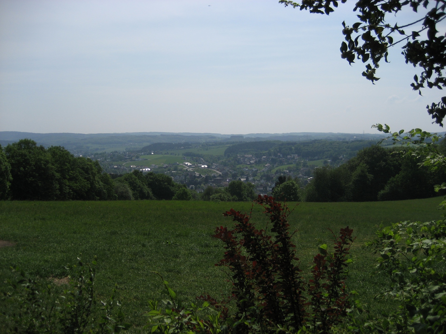 Natursteig Sieg #4 - Blick von der Storker Hütte