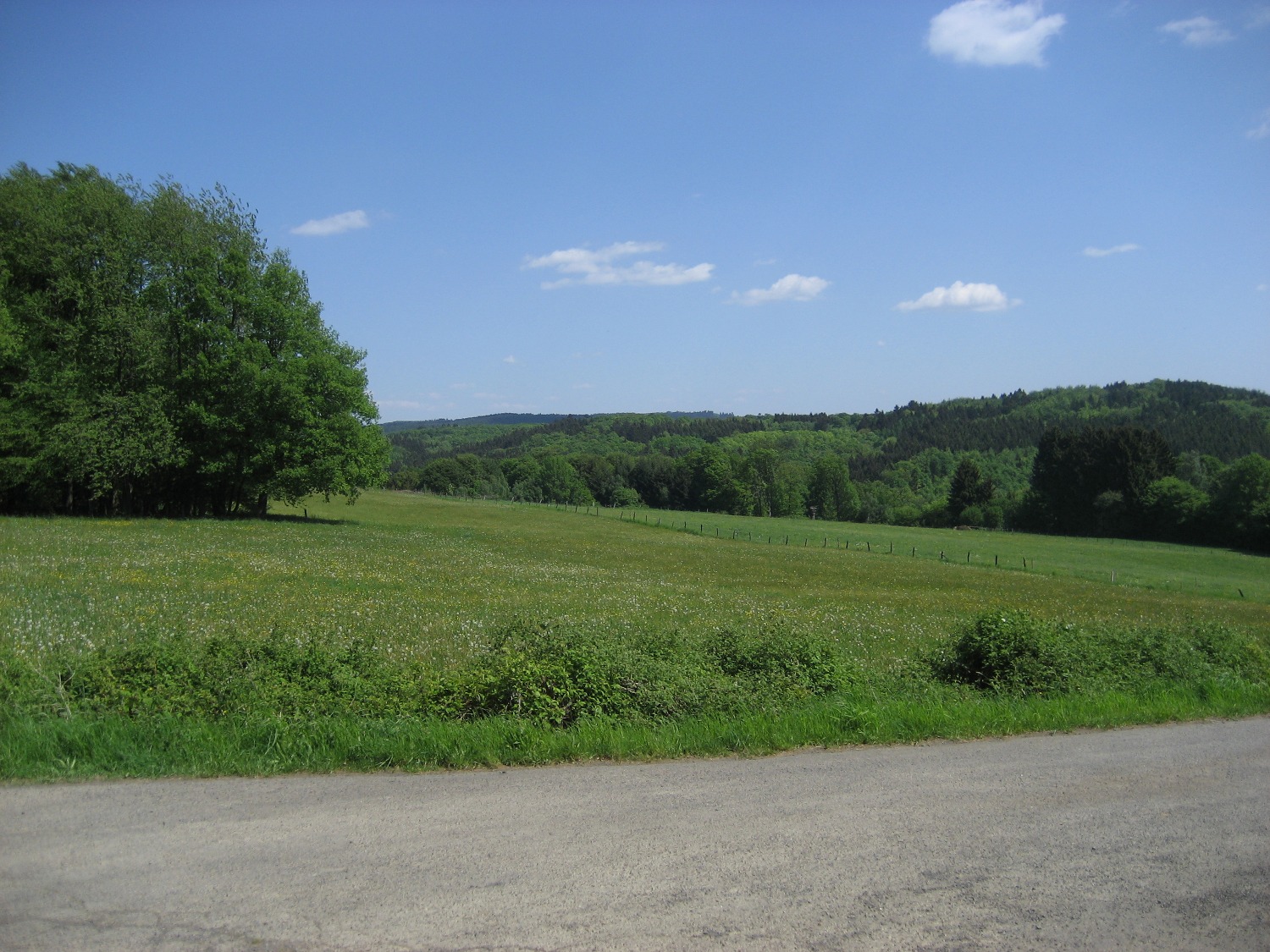 Natursteig Sieg #5 - Blick vom Hensberg