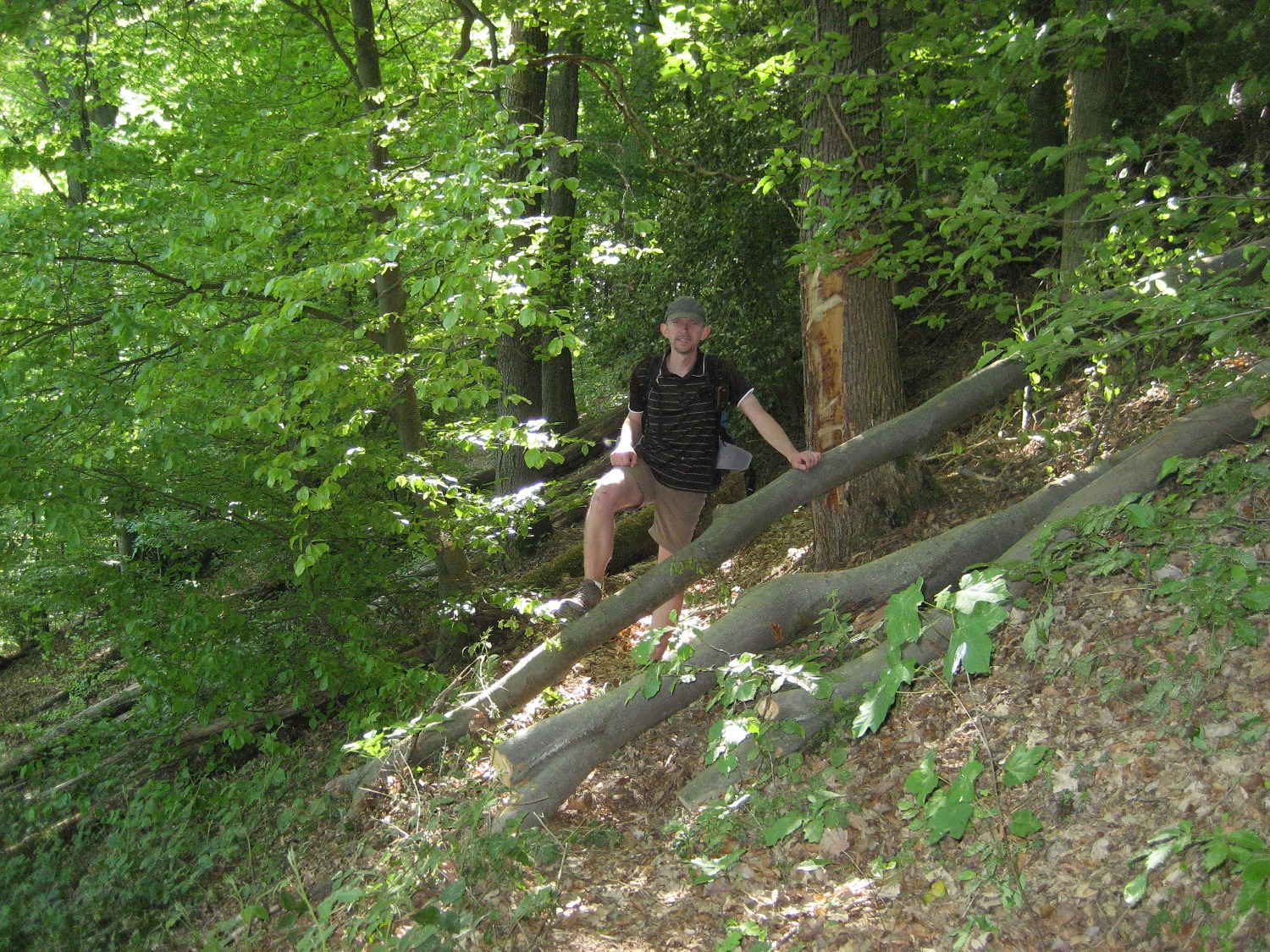 Natursteig Sieg #5 - Naturbelassene Wegführung