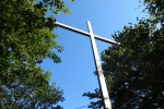 Natursteig Sieg #7