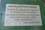 Natursteig Sieg #7 - Ohne Worte