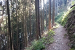 Natursteig Sieg #7 - Der besonders gefährliche Waldweg