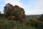 Natursteig Sieg #7