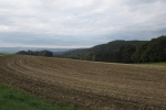 Natursteig Sieg #9 - Bei Halscheid