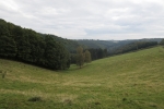 Natursteig Sieg #9 - Bei Halscheid